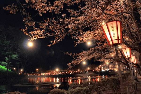 夜桜の名所「日本三大夜桜」と、古くからの桜の名所「日本三大桜の名所」をご紹介