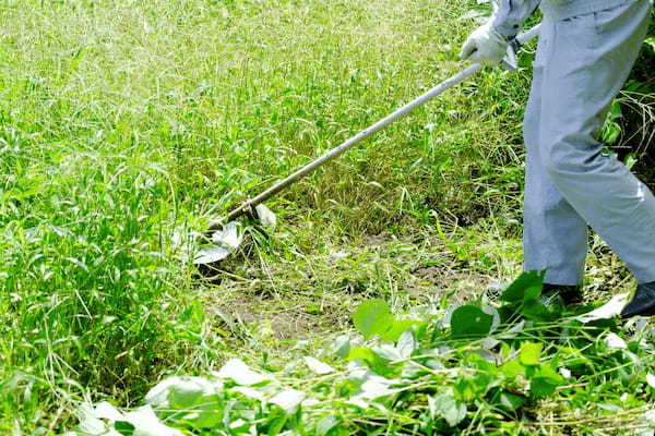 静寂を好む人は田舎に移住してはいけない