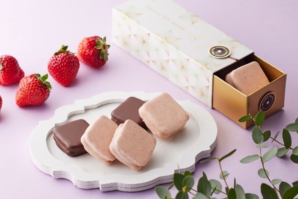 春を運ぶ桜モチーフのショコラや春の新作焼き菓子がショコラ専門店「ベルアメール」より登場します！ひな祭りをイメージした華やかなケーキも必見です。