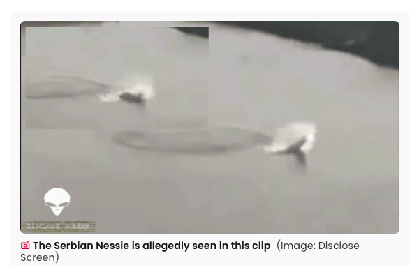 セルビア版ネッシー出現!?炭鉱跡の湖に潜む謎の巨大生物の正体とは・・・の画像2