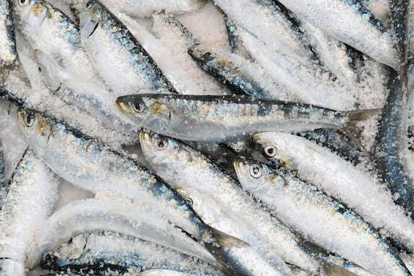 「鰯の頭も信心から」とはどんな意味の言葉?なぜ「鰯の頭」なの?