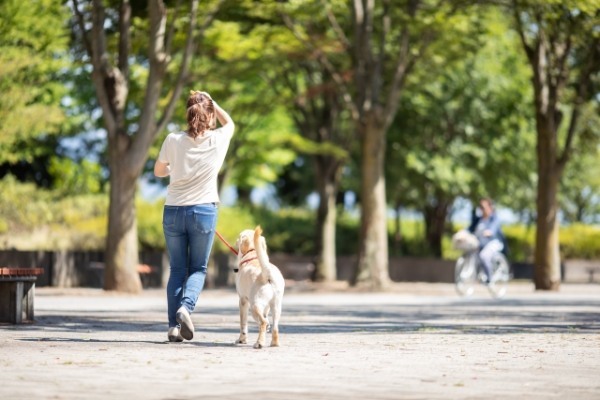 東京都で愛犬とおでかけ!気軽に立ち寄れるカフェやペットと泊まれる宿を愛犬家目線でピックアップ