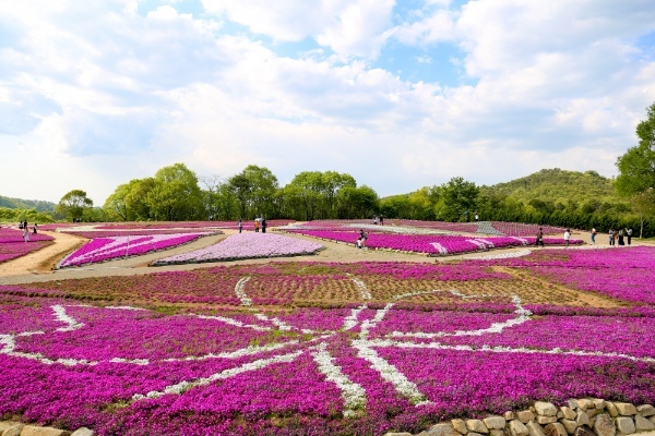 【連載】旅行好きと春を探しに出かけよう！春の時期におすすめ観光スポット4選