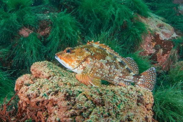 海釣りでの雨と釣果との関係を徹底考察！魚への影響や釣り方のポイントは？