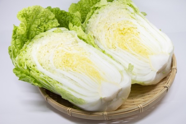 冬の鍋料理の鉄板野菜！葉酸や食物繊維が豊富な、白菜の栄養価や調理方法を紹介！