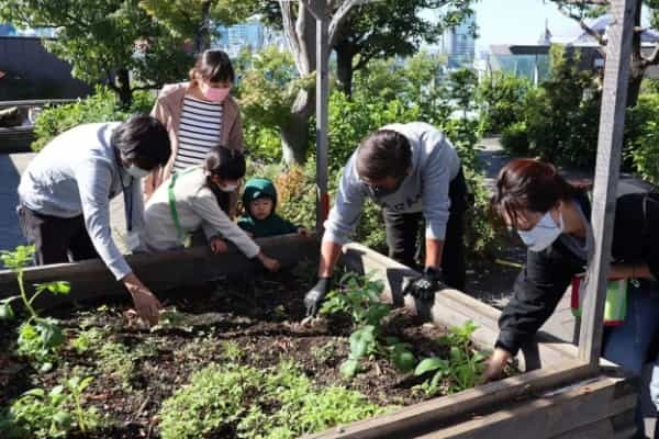 都会でも農作業は体験できる! 心と体が整うアーバンファーミングの可能性