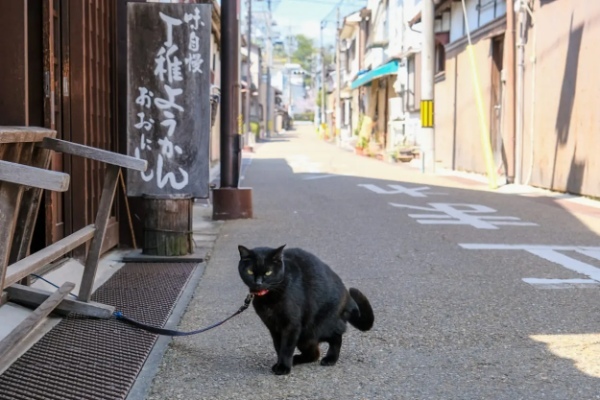 忍者と酒、人が優しい伊賀へ旅をしたら想像以上にリフレッシュ。伊賀の魅力に骨抜かれた。