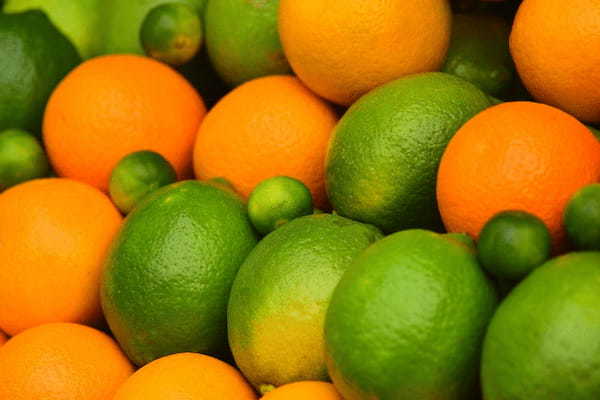 「金柑」の食べごろ・旬はいつ?形状などの特徴から、もちろん柑橘類の仲間・・・とは言い切れない?