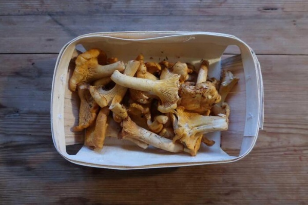 ドイツで食べたい季節の食べ物5選