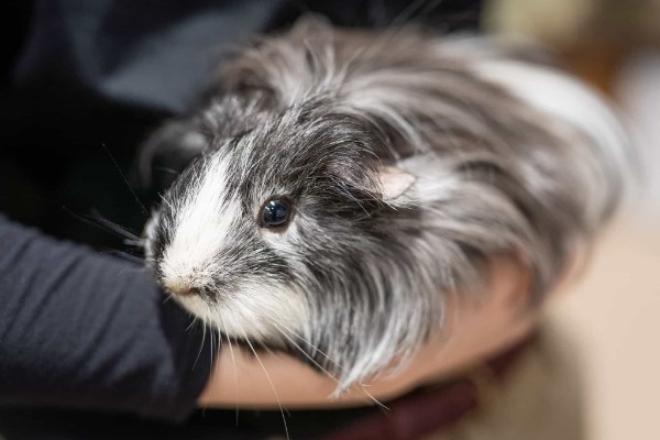 「えっ、そうだったの！」がいっぱい。特別企画展「ツッコミたくなるおさかな動物園」開催中