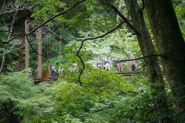 高尾山の登山ルートガイド！コースタイムや距離、登る際のポイントまで解説！