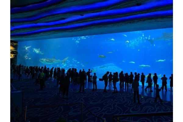 【子連れアジア旅行】マカオ近郊　ギネス認定！世界最大級の水族館「珠海长隆海洋王国」
