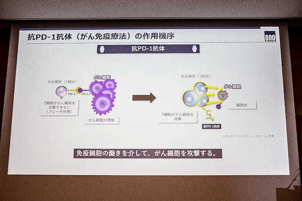 がん治療「第4の柱」「免疫チェックポイント阻害薬」製薬会社がセミナー開催