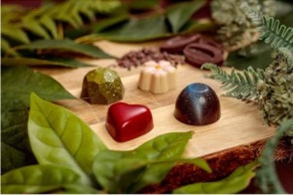 ホテルグランヴィア広島、新作バレンタインチョコレート「極（kiwami）ショコラ・ド・ボア」販売