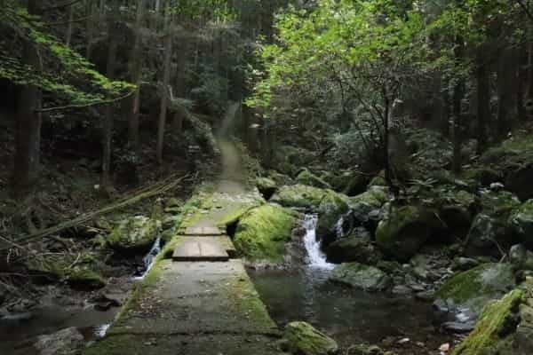 お遍路だけじゃない山の楽しみ｜徳島の魅力を再発見