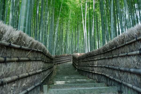 知ってたら京都通！穴場の寺社仏閣6選｜いつもと違う京のまちを旅しよう