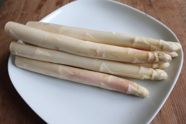 ドイツで食べたい季節の食べ物5選