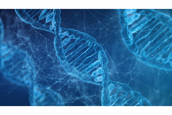 神の領域か、禁断の扉か… 人工ヒトDNA“合成”プロジェクト、ついに始動の画像2