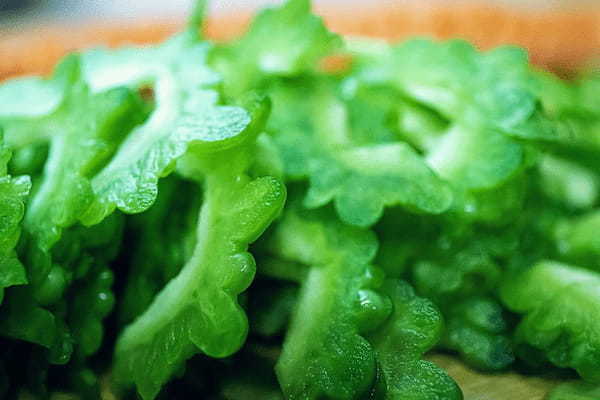 5月8日は「ゴーヤーの日」!なぜこの日がゴーヤの記念日なの?ゴーヤとはどんな野菜なの?