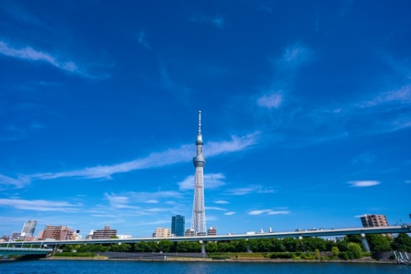 東京都で愛犬とおでかけ！気軽に立ち寄れるカフェやペットと泊まれる宿を愛犬家目線でピックアップ