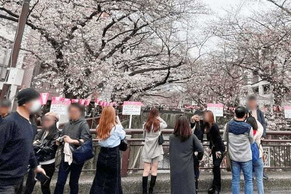 “宴会解禁”の花見、目にした光景に驚き…　客のマナーに「異変」が起きていた