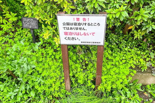 新宿で目にした公園の“意地悪ベンチ”、物議醸すも…　役所が明かす30年続く「騒音問題」に愕然