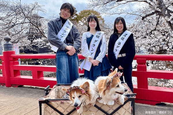 岐阜県のミスコン、なぜか上位に男性と犬が入賞してしまう 「ポリコレの最先端」と話題に…