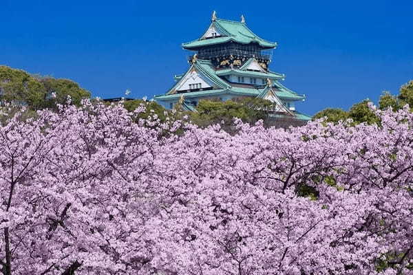 大阪の全国旅行支援に対応、ステーキランチや人気スイーツ店のお土産が付いた日帰りバスツアー