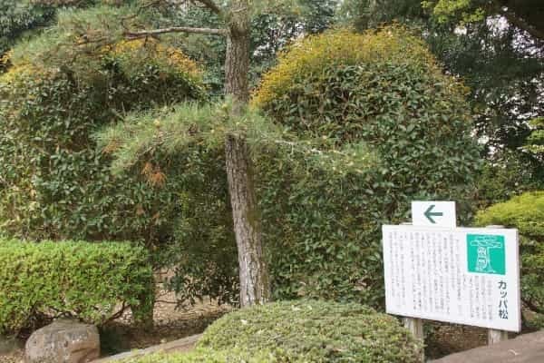 鬼、かっぱ……妖怪が現代日本でも暮らせるエリアを宇宙から探してみた(前編)