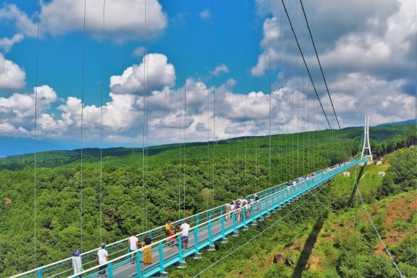 静岡県・三島市のおすすめ観光スポット＆名物グルメ情報まとめ