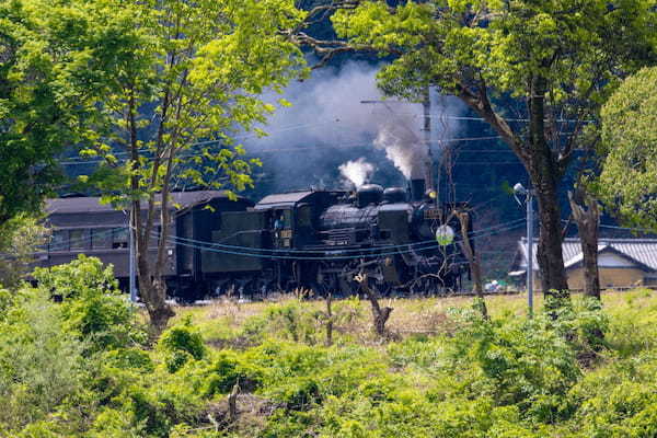 【連載】SLに乗って絶景旅！静岡大井川鐵道の魅力を紹介