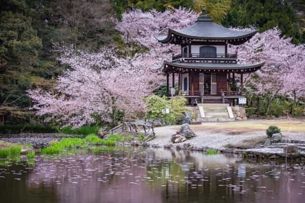 知ってたら京都通！穴場の寺社仏閣6選｜いつもと違う京のまちを旅しよう