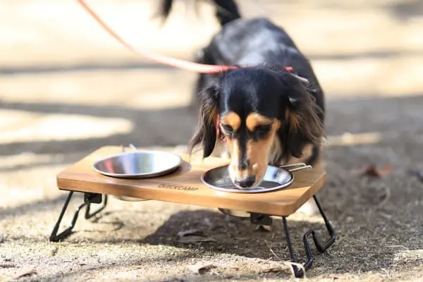 愛犬家に告ぐ！　アウトドアに最適なワンコ用シェラカップ＆スタンドが出るぞ。オシャレに自宅使いもアリ！