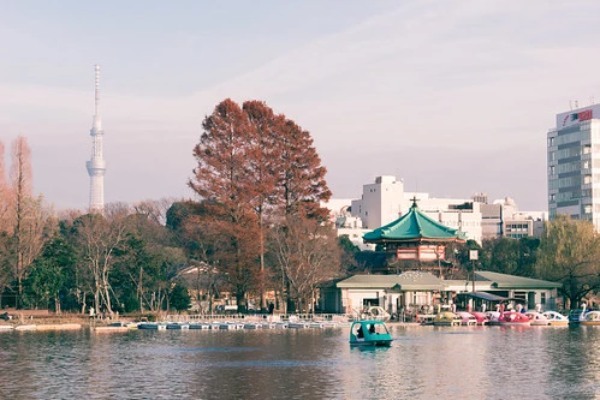 黄色い絶景に秋を感じる、上野公園の紅葉スポットをご紹介！見頃や見どころも解説！