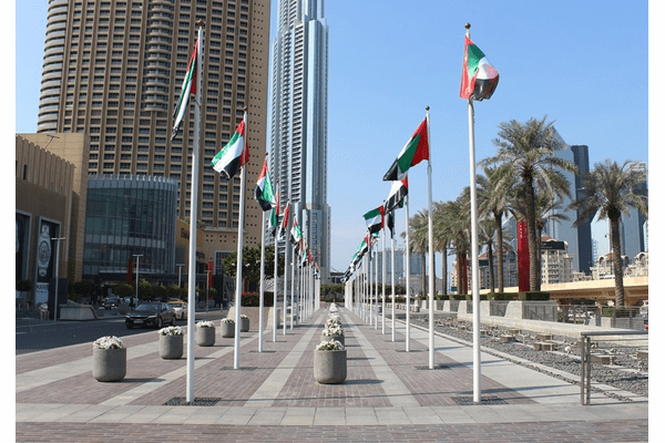 TONステーキングでUAEビザ取得？報道の真偽を探るの画像1