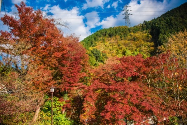 初心者のための御岳山登山ガイド！おすすめルートや服装、アクセスまで全てわかる！