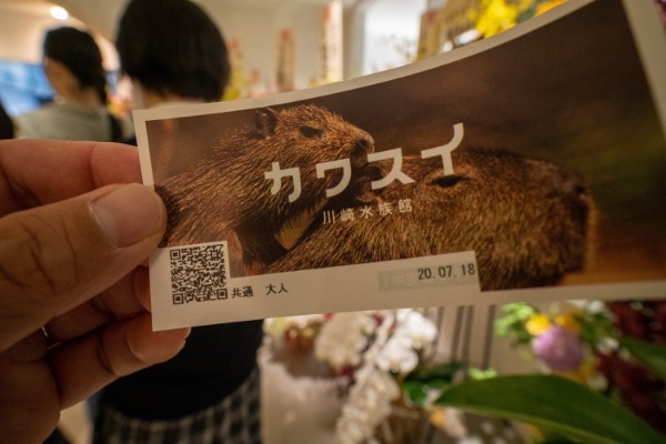 【連載】川崎の最新観光スポット「カワスイ川崎水族館」の楽しみ方を紹介