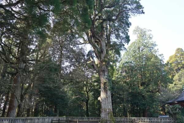 鹿児島の観光地・霧島神宮のパワースポットを調査！ご利益・お守り・見どころを解説