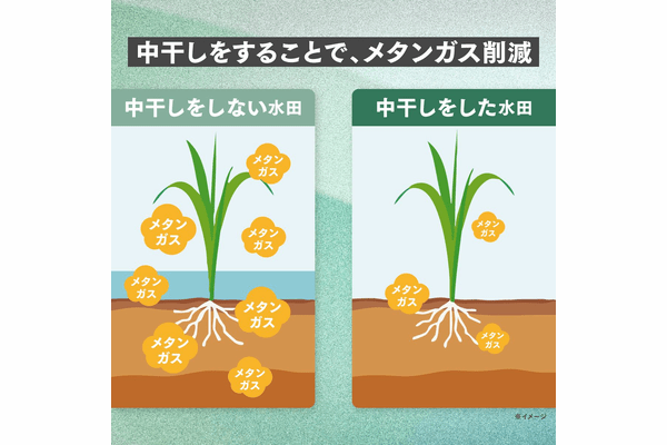 【一次産業×脱炭素で地球を救う #1】売るのは「米」だけじゃない。環境価値が農家を変える — 水田クレジット最前線の画像2