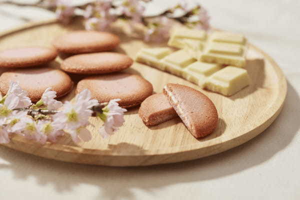 【笑顔咲く春モック第一弾】自宅でお花見気分が味わえる桜風味クッキー2月15日(水)発売