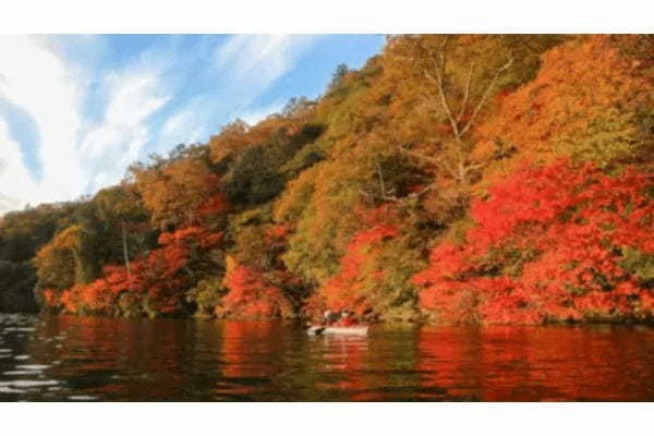 中禅寺湖から「奥日光の紅葉」を満喫できる「宿泊」＆「グランピング」プラン