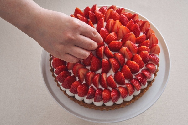 「今日をちょっと特別にする、ケーキ時間。」がテーマのパティスリーカフェにリニューアルオープン!カフェ&ブックス ビブリオテーク 大阪・梅田 4月5日より、心も満たす豊かな新作ケーキ全8種勢ぞろい