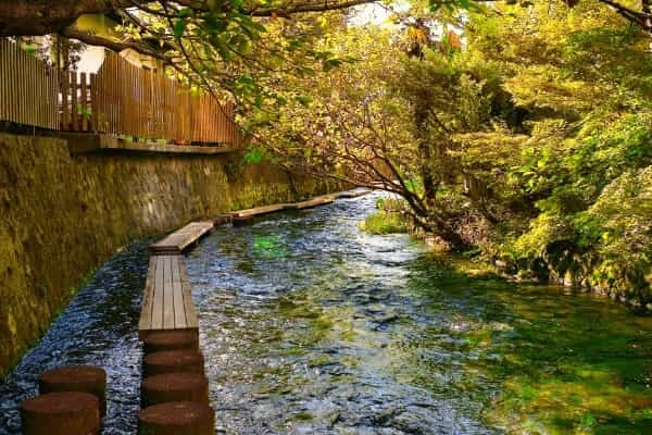 静岡県・三島市のおすすめ観光スポット＆名物グルメ情報まとめ