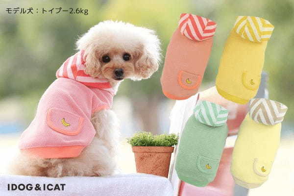 IDOG&ICATオリジナルの春夏新作ドッグウェアを2023年2月2日より順次販売開始！愛犬の着心地を優先した高品質の犬用お洋服。防虫機能やひんやり効果などの機能ウェアも充実！