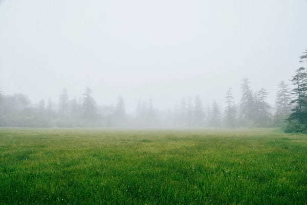 雨の日のプレーが快適に！ゴルフの雨対策を解説！便利グッズや楽しみ方もご紹介！