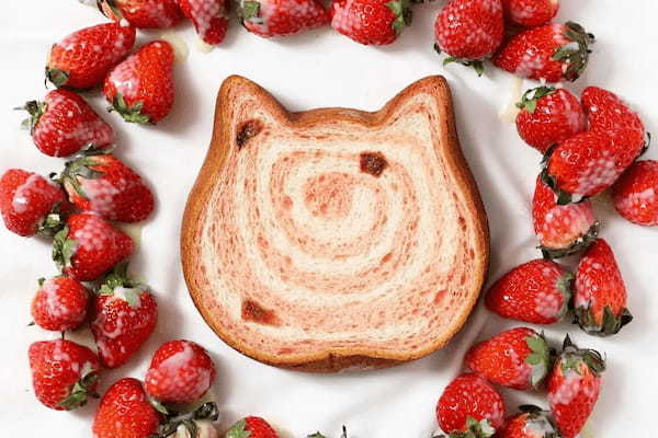 【春限定のねこねこ3商品が登場】「ねこねこ食パン 練乳いちご」「ねこねこ食パン 三色ねこねこ」「にゃんチー ロイヤルミルクティー」3月1日より期間限定新発売