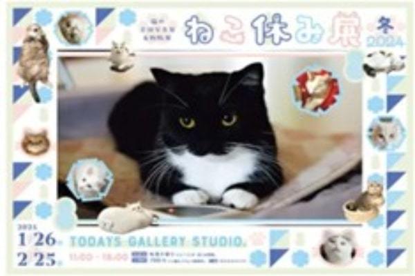 ねこまみれの写真展「ねこ休み展」開催中、2月25日まで