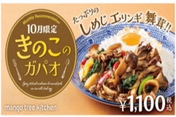 【秋の味覚でタイ料理】マンゴツリーキッチン「きのこのガパオ」2023年10月1日（日）から期間限定発売