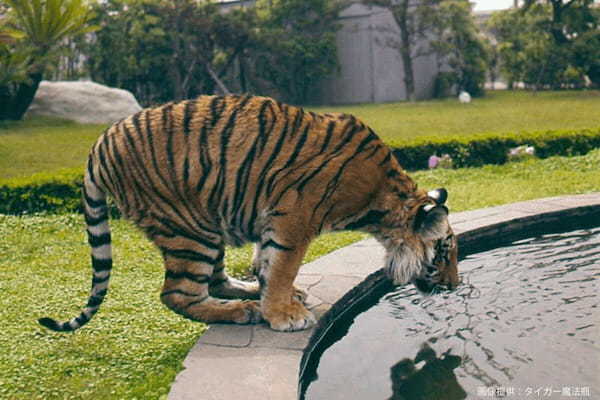 タイガー魔法瓶、55年前に社内で飼っていた動物に驚き　若手社員も「実話だったとは…」