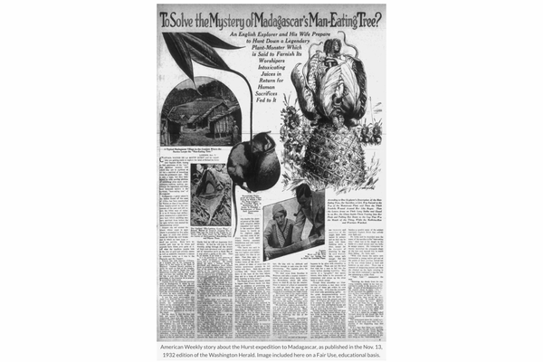 150年続く「人食いの木」伝説。鍵を握る“失われた写真”と、マダガスカルの毒木「クマンガ」が示す真実の画像3